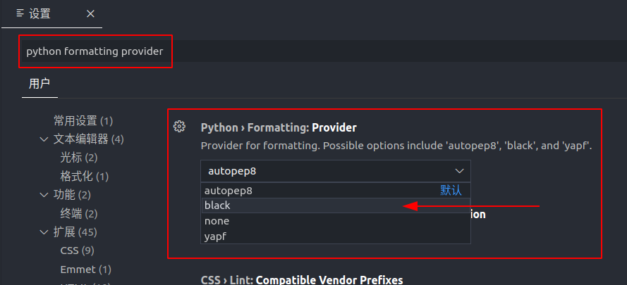 更改 Python Formatting Provider
